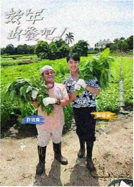 电影苹果综艺推荐：慢速旅行团